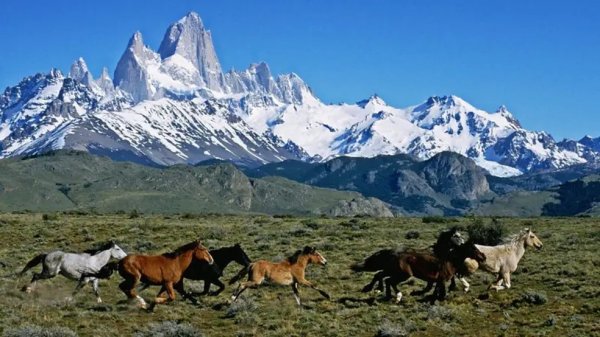 8ucom 5 lugares parecidos com os EUA para quem quer evitar viajar para o país sob o governo Trump