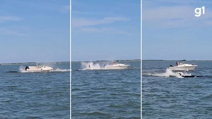 Baleia morre após colisão com pequeno barco na costa de Nova Jersey