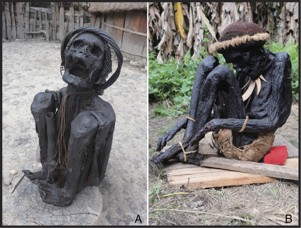 Exemplos de múmias "defumadas" mantidas em residências particulares em Papua， Indonésia， fotografadas em janeiro de 2019. (A) Uma múmia hiperflexionada de Dani; (B) Uma múmia flexionada da Vila Pumo. Ambos os locais ficam em Wamena， Regência de Jayawijaya， Papua. — Foto: Divulgação/PNAS