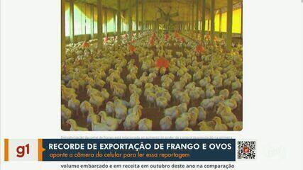 Exportações de carne de frango e ovos dobram em outubro， aponta Esalq-USP