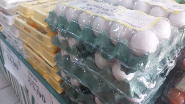 8ubet Ovos: recuo na compra pelos EUA faz volume de exportações registrar 1ª queda nos embarques em 2025, aponta estudo da USP