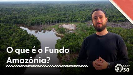 8u O que é o Fundo Amazônia?