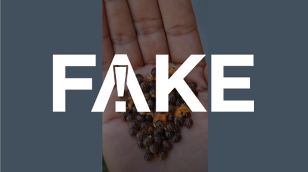 É #FAKE que mistura de sementes de mamão com pó de café previne ou trata varizes — Foto: Reprodução