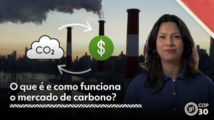 COP30 - O que é e como funciona o mercado de carbono?