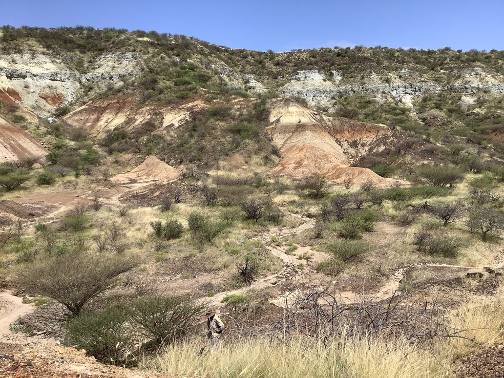 A região de Buluk， perto do Lago Turkana， no norte do Quênia， aparece nesta foto sem data divulgada em 9 de julho de 2025. Pesquisadores encontraram no local dentes de mamíferos extintos com peptídeos antigos — cadeias de moléculas chamadas aminoácidos， que formam as proteínas. — Foto: Ellen Miller/Handout via REUTERS